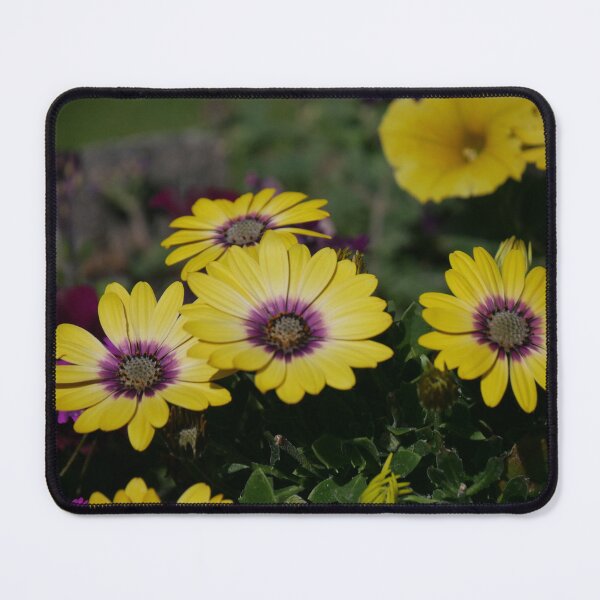 Item preview, Purple centered sunflowers designed and sold by SlappinTees.