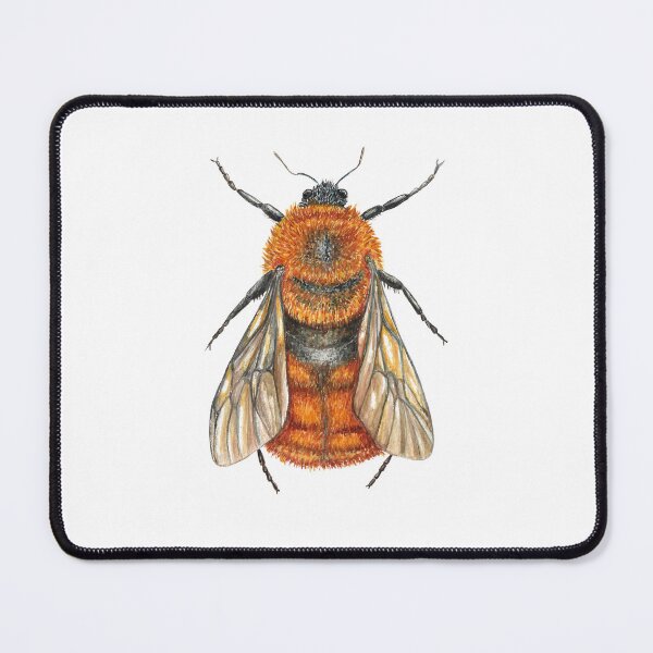 Item preview, Chilean bumblebee (Bombus dahlbomii) designed and sold by SandraHaro.