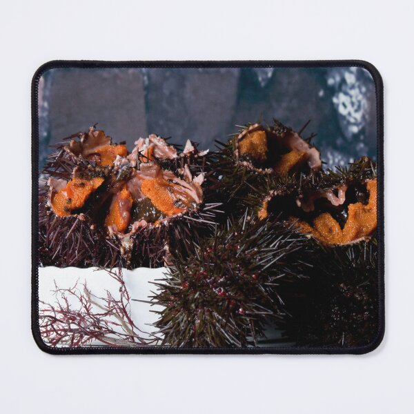 Item preview, Sea urchin photo with high resolution quality designed and sold by Allyouneed-2.