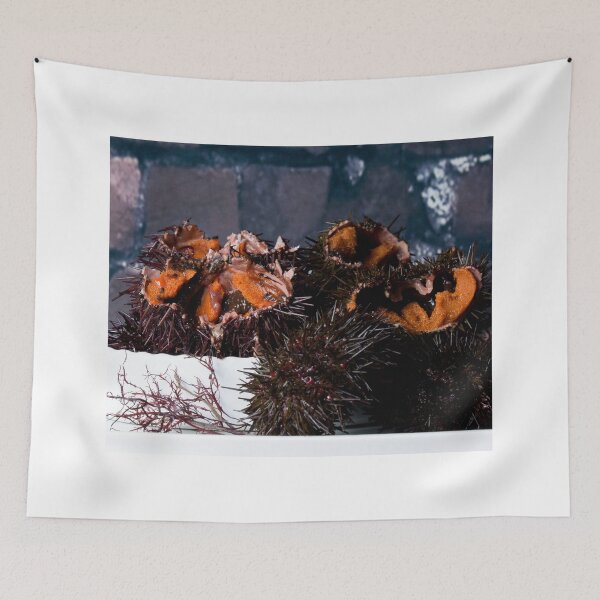 Item preview, Sea urchin photo with high resolution quality designed and sold by Allyouneed-2.