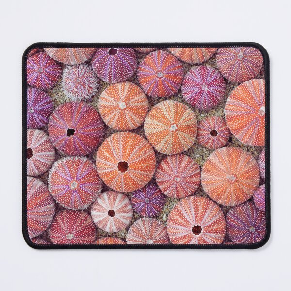 Item preview,  Sea urchin photo with high resolution quality designed and sold by Allyouneed-2.