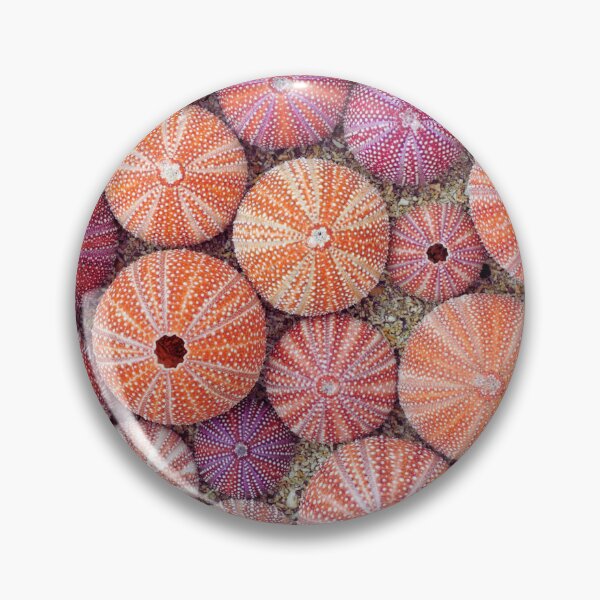Item preview,  Sea urchin photo with high resolution quality designed and sold by Allyouneed-2.
