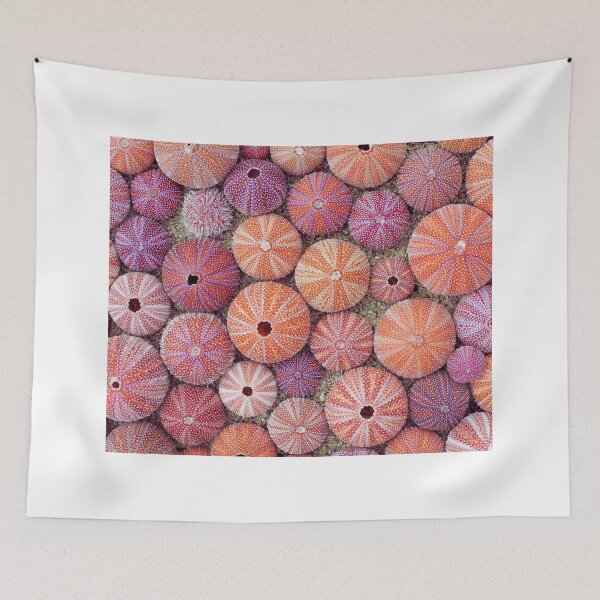 Item preview,  Sea urchin photo with high resolution quality designed and sold by Allyouneed-2.