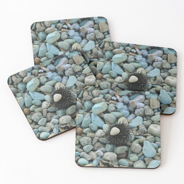 Item preview, Sea urchin photo with high resolution quality designed and sold by Allyouneed-2.