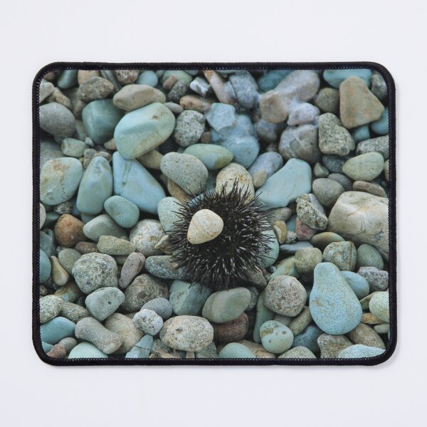 Item preview, Sea urchin photo with high resolution quality designed and sold by Allyouneed-2.