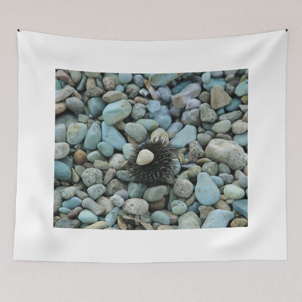 Item preview, Sea urchin photo with high resolution quality designed and sold by Allyouneed-2.