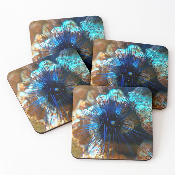 Item preview, Sea urchin photo with high resolution quality designed and sold by Allyouneed-2.