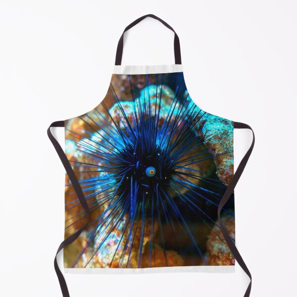 Item preview, Sea urchin photo with high resolution quality designed and sold by Allyouneed-2.
