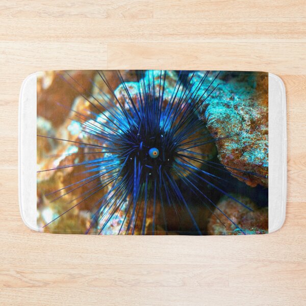 Item preview, Sea urchin photo with high resolution quality designed and sold by Allyouneed-2.