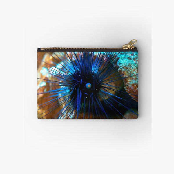 Item preview, Sea urchin photo with high resolution quality designed and sold by Allyouneed-2.