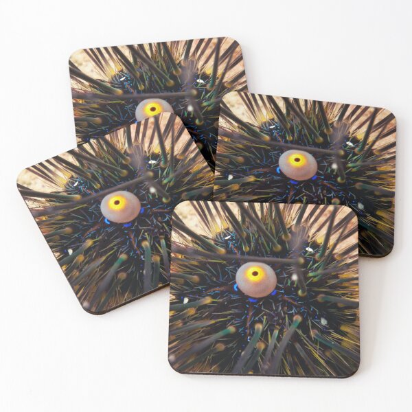 Item preview, Sea urchin photo with high resolution quality designed and sold by Allyouneed-2.