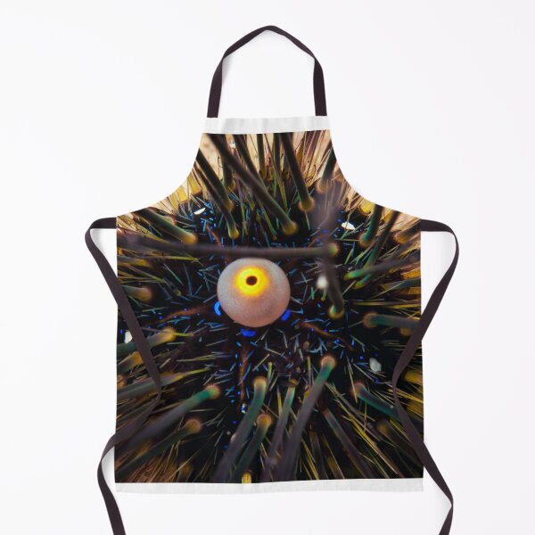 Item preview, Sea urchin photo with high resolution quality designed and sold by Allyouneed-2.