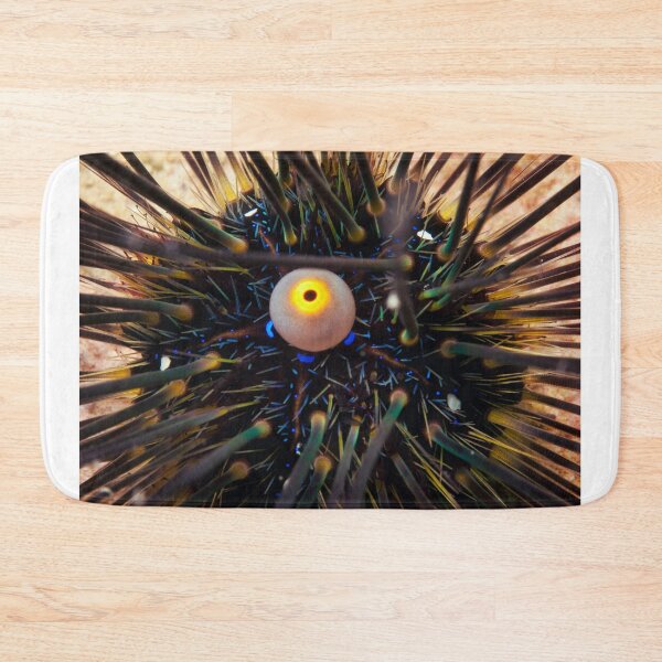 Item preview, Sea urchin photo with high resolution quality designed and sold by Allyouneed-2.