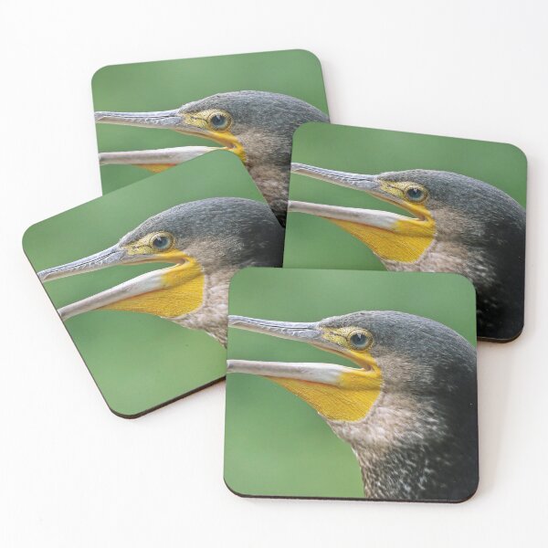 Item preview, Cormorant photo with high resolution quality designed and sold by Allyouneed-2.