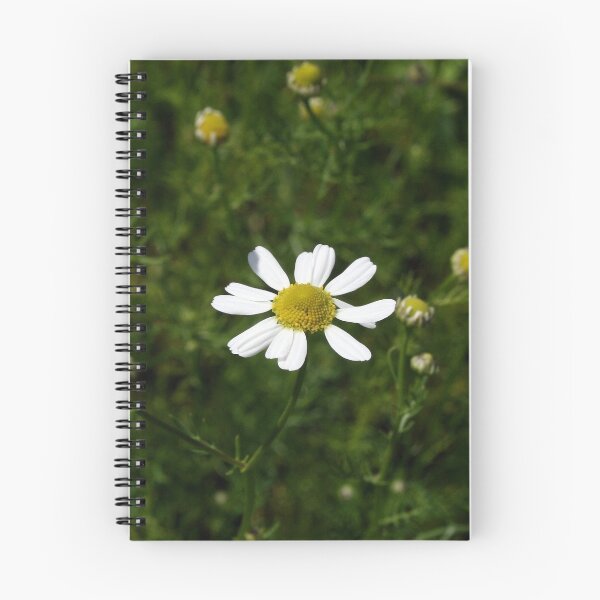 Item preview, Matricaria chamomilla L. designed and sold by BirgitOehmig.