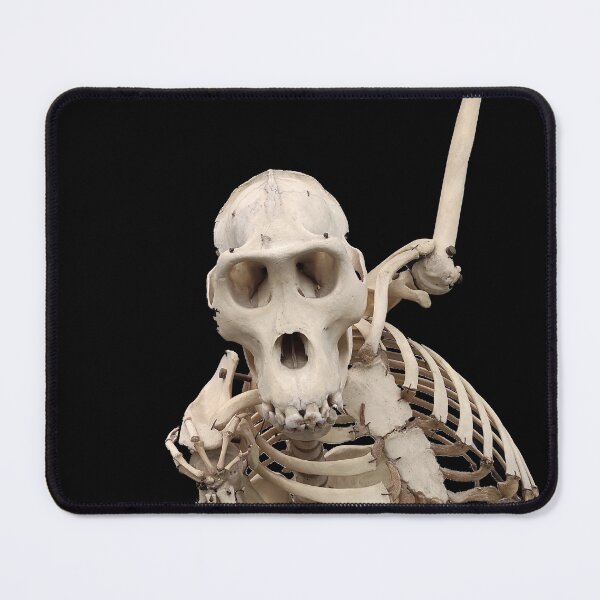 Item preview, female gorilla skeleton designed and sold by tony4urban.