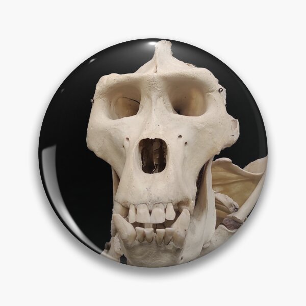 Item preview, male gorilla skeleton designed and sold by tony4urban.