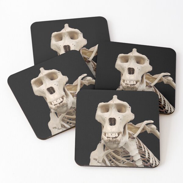 Item preview, male gorilla skeleton designed and sold by tony4urban.