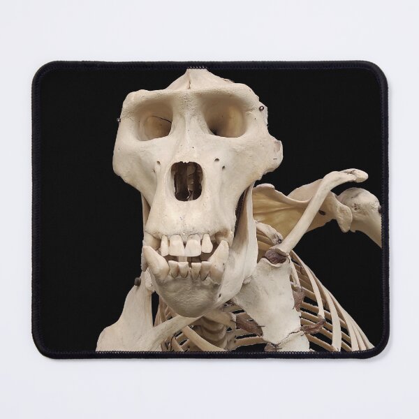Item preview, male gorilla skeleton designed and sold by tony4urban.