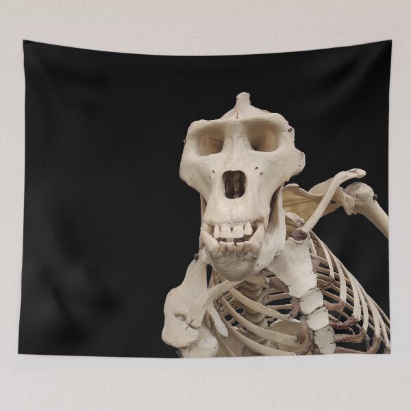 Item preview, male gorilla skeleton designed and sold by tony4urban.