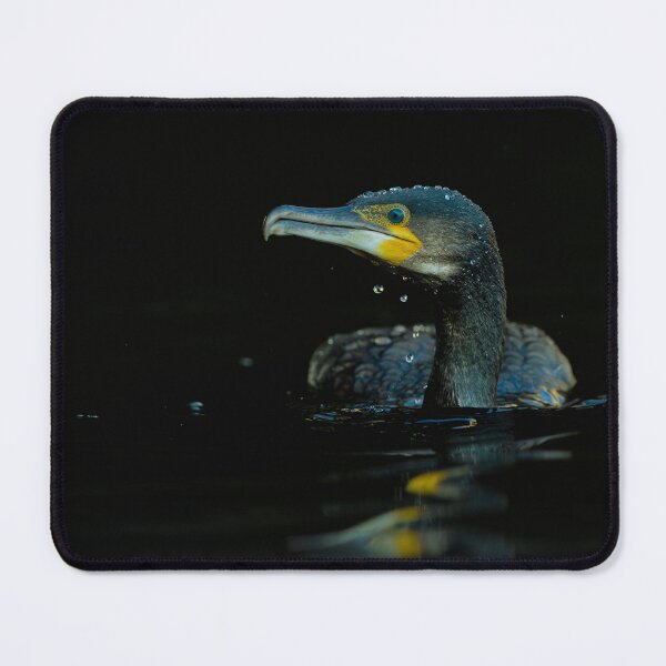 Item preview, Cormorant photo with high resolution quality designed and sold by Allyouneed-2.
