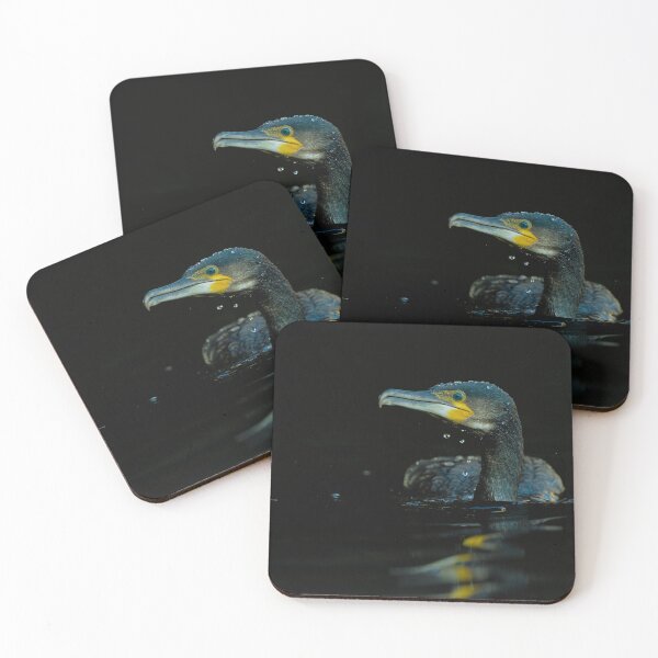 Item preview, Cormorant photo with high resolution quality designed and sold by Allyouneed-2.