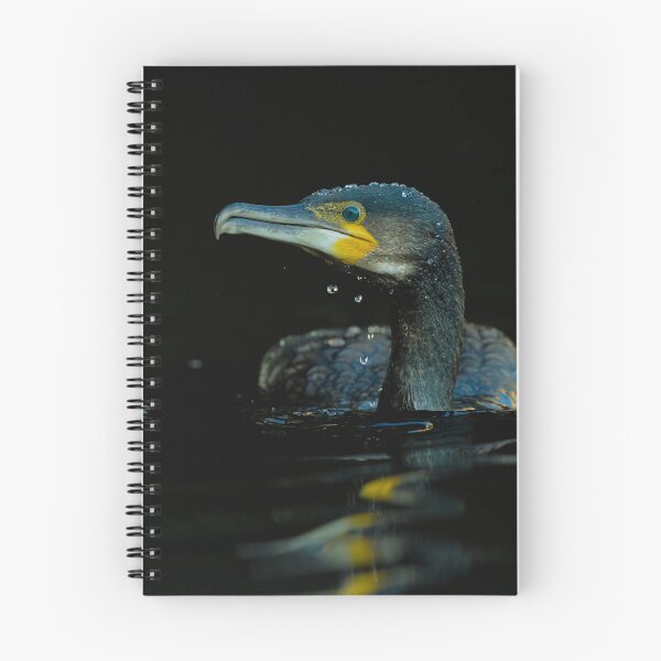 Item preview, Cormorant photo with high resolution quality designed and sold by Allyouneed-2.