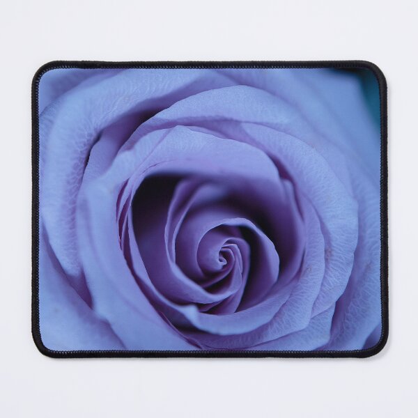 Item preview, Mauve Rose designed and sold by imaginethis.