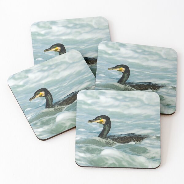 Item preview, Cormorant photo with high resolution quality designed and sold by Allyouneed-2.