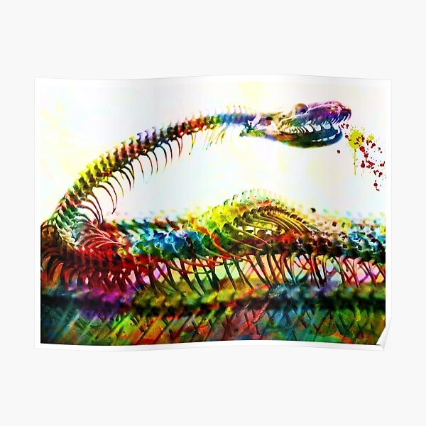 Snake Skeleton Watercolour Snake Painting Python Anatomy Poster