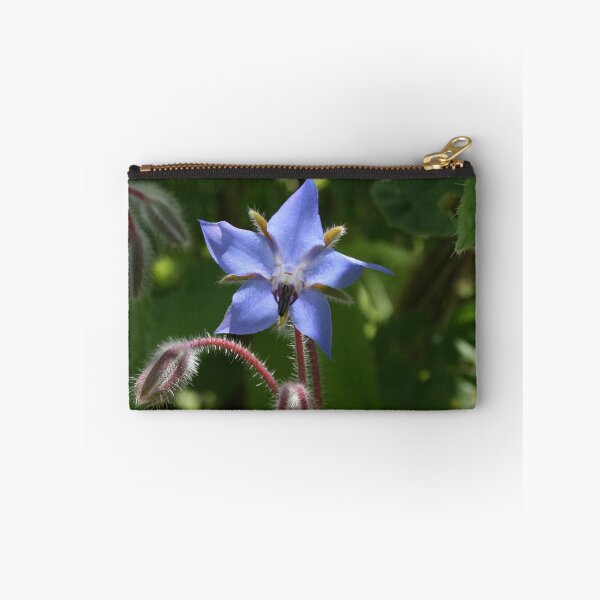 Item preview, Borago officinalis designed and sold by BirgitOehmig.