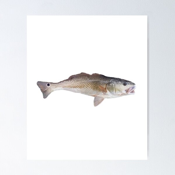 Life like Slot Red Fish Poster for Sale by RedFishyTee