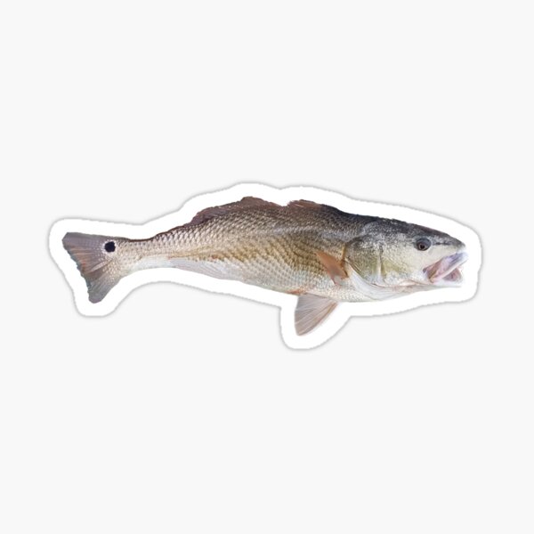 Life like Slot Red Fish Sticker for Sale by RedFishyTee