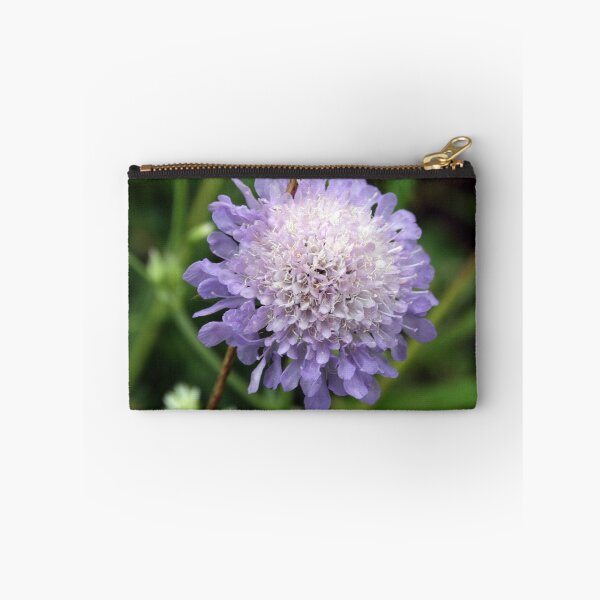 Item preview, Allium schoenoprasum designed and sold by BirgitOehmig.