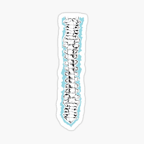 Skeleton Spine Sticker