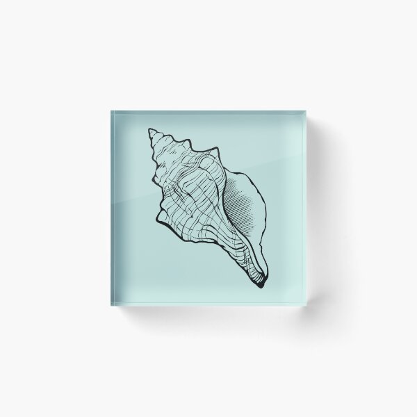 Item preview, Seashell drawing designed and sold by ProfiTrollka.