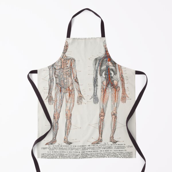 Item preview, Human Blood Vessels and Cardiovascular System Educational Chart Vintage Anatomy designed and sold by POSTERAMALA.