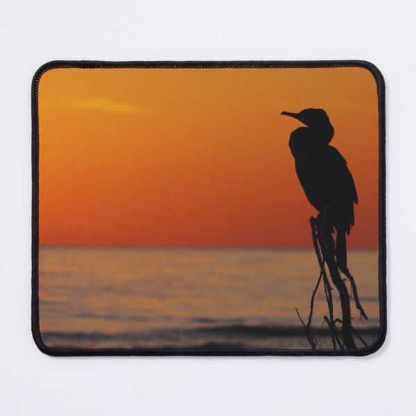 Item preview, Cormorant photo with high resolution quality designed and sold by Allyouneed-2.