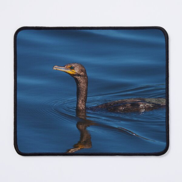 Item preview, Cormorant photo with high resolution quality designed and sold by Allyouneed-2.