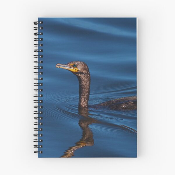 Item preview, Cormorant photo with high resolution quality designed and sold by Allyouneed-2.