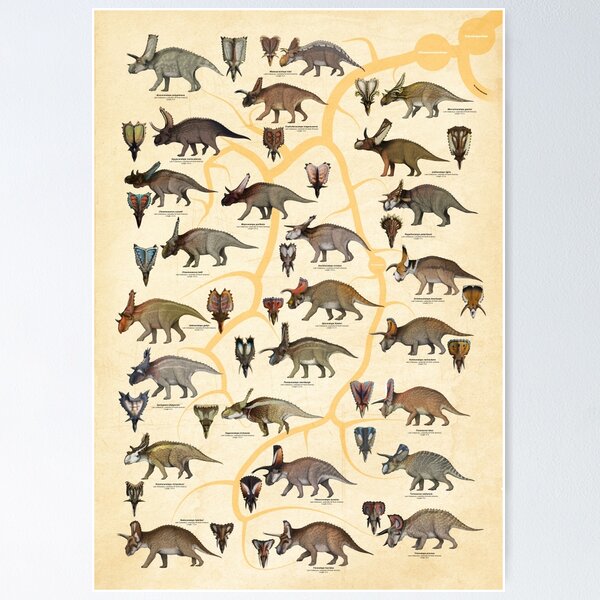 Dinosaur Species Poster