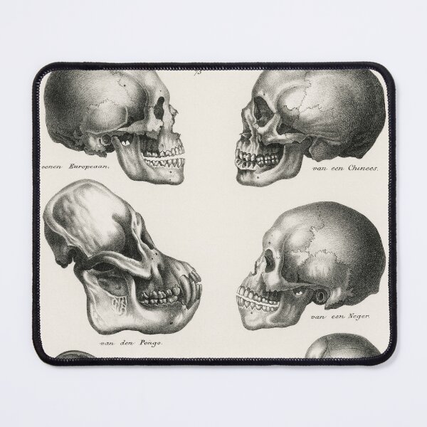 Item preview, Human Monkey and Ape Skulls Vintage Anatomy designed and sold by POSTERAMALA.