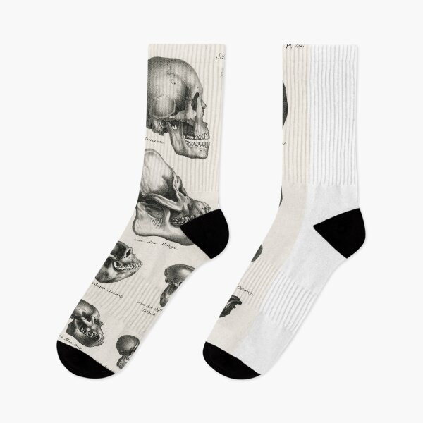 Item preview, Human Monkey and Ape Skulls Vintage Anatomy designed and sold by POSTERAMALA.