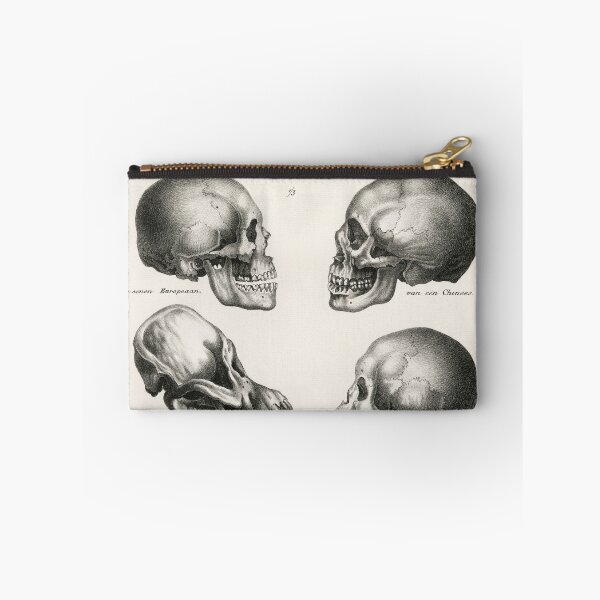 Item preview, Human Monkey and Ape Skulls Vintage Anatomy designed and sold by POSTERAMALA.