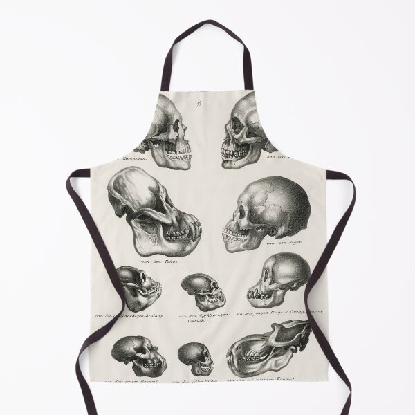 Item preview, Human Monkey and Ape Skulls Vintage Anatomy designed and sold by POSTERAMALA.