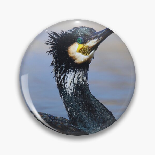 Item preview, Cormorant photo with high resolution quality designed and sold by Allyouneed-2.