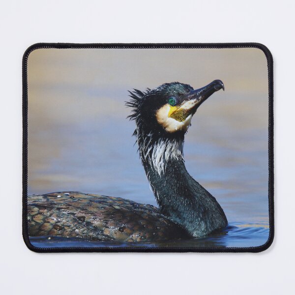 Item preview, Cormorant photo with high resolution quality designed and sold by Allyouneed-2.