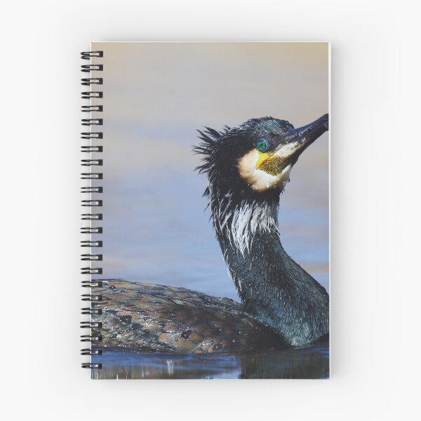 Item preview, Cormorant photo with high resolution quality designed and sold by Allyouneed-2.