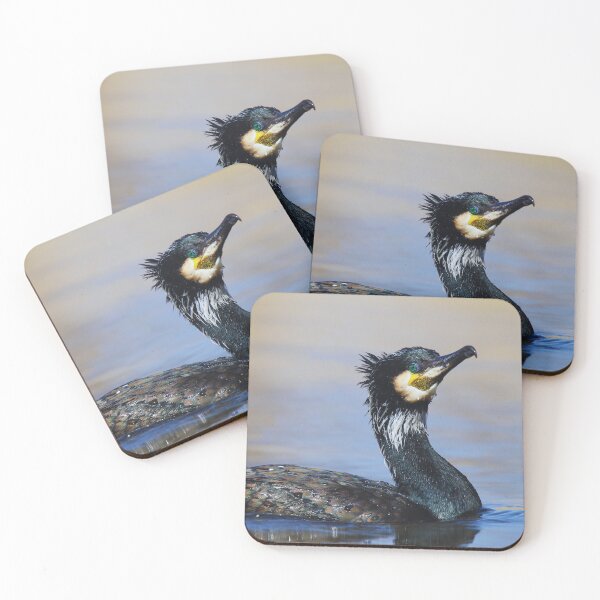 Item preview, Cormorant photo with high resolution quality designed and sold by Allyouneed-2.