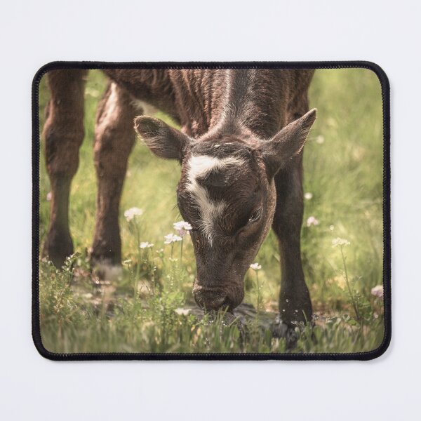 Item preview, Calf drinking water from a stream designed and sold by Svetlana Korneliuk.